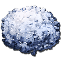 Absorbent Substrate