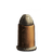 Advanced Bullet