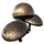 Aggeravic Mushroom