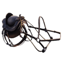Allosaurus Saddle