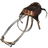 Argentavis Saddle