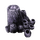 Barnacle
