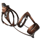 Chalicotherium Saddle