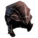 Chitin Helmet