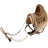 Cryolophosaurus Saddle