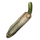 Cucumis