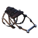 Dakosaurus Saddle