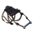 Dakosaurus Saddle