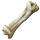 Dinosaur Bone