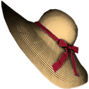 Floppy Straw Summer Hat Skin