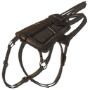 Ichthyosaurus Saddle