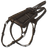 Ichthyosaurus Saddle