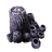 Infected Barnacle