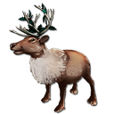Megaloceros Reindeer Costume