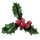 Mistletoe