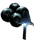Narcoberry or Ascerbic Mushroom