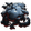 Oil