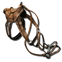 Pachyrhinosaurus Saddle