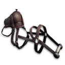 Pelagornis Saddle