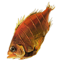 Prime Fish Jerky