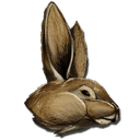 Procoptodon Bunny Costume