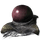Pulmonoscorpius Egg