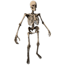 Skeleton Costume Skin