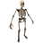 Skeleton Costume Skin