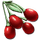 Tintoberry