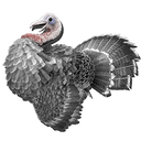Turkey Hat Skin