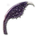 Tusoteuthis Tentacle